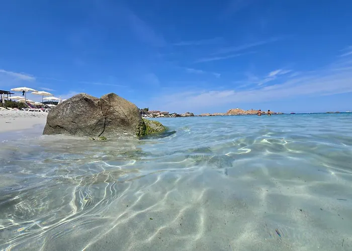 公寓 Nepita-dolce-vita T2 Sea View